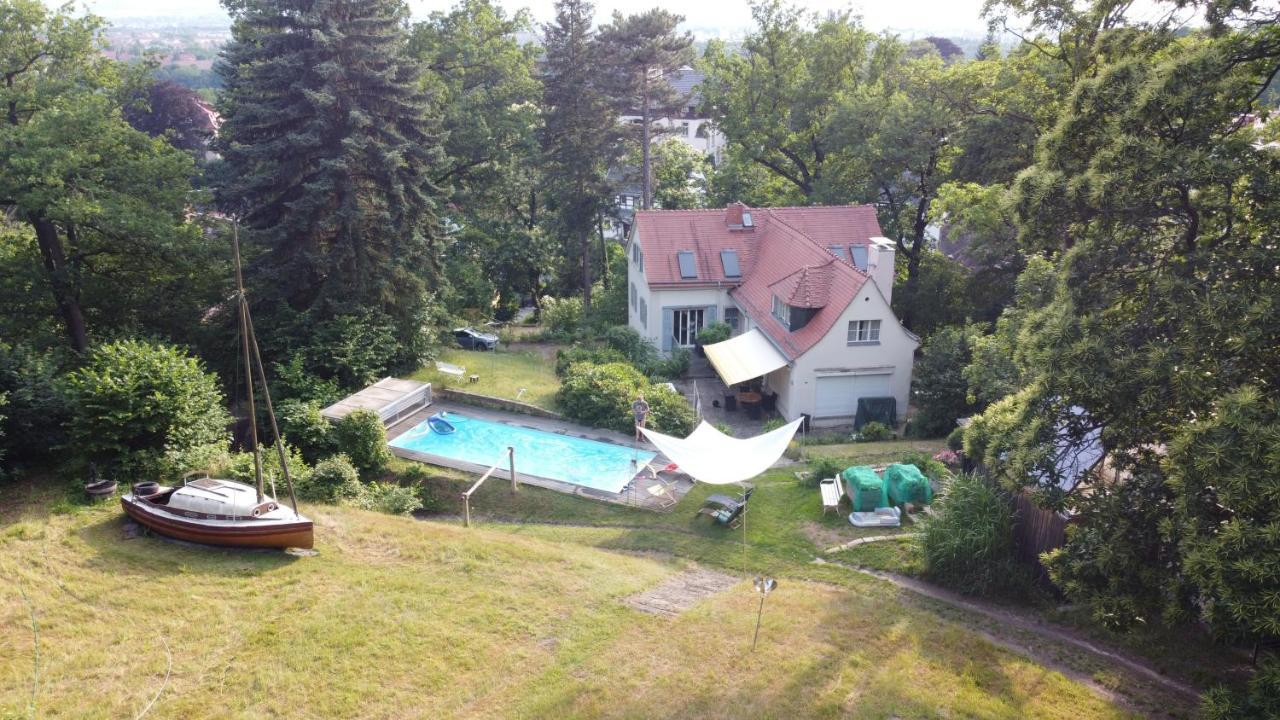 Villa Im Park Wachwitzgrund Dresden Dış mekan fotoğraf