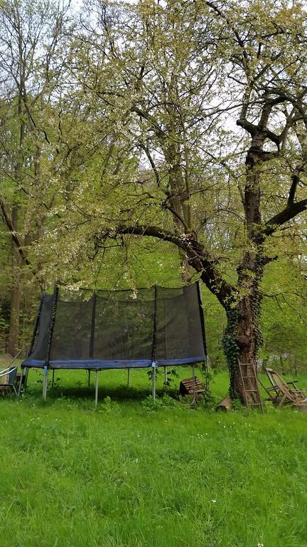 Villa Im Park Wachwitzgrund Dresden Dış mekan fotoğraf